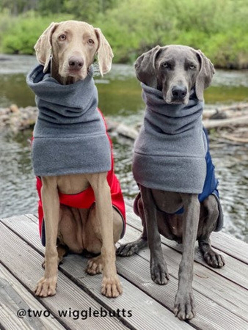 WEIMARANER Winter Dog Coat Winter Coat Winter Clothes Etsy UK