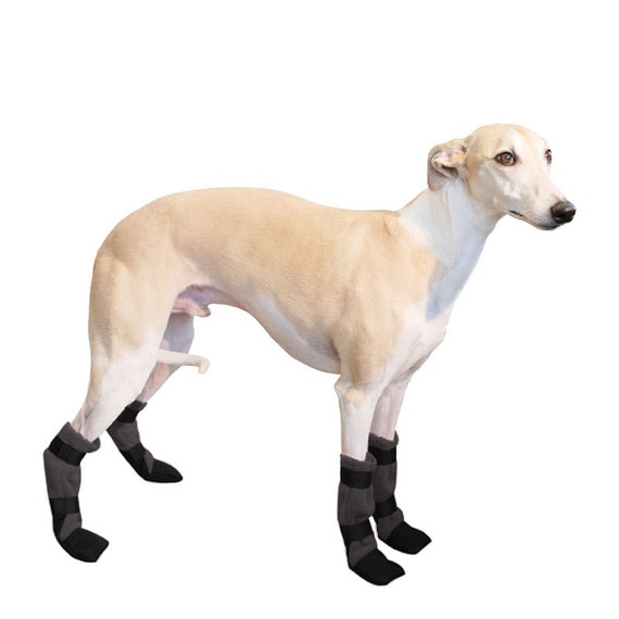 WHIPPET Dog Booties Winter Boots Dog 