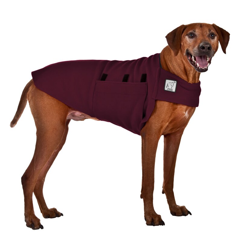 rhodesian ridgeback fleece coat