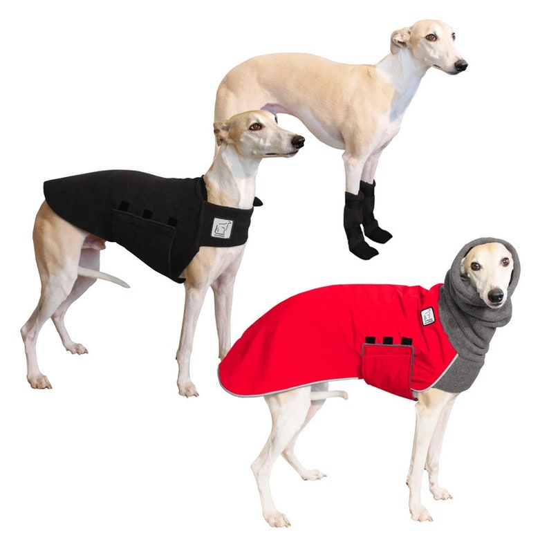 WHIPPET Cold Climate Combo Winter Dog Coat Fleece Dog Etsy