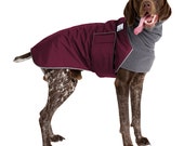 GERMAN SHORTHAIRED POINTER Winter Dog Coat, Coat for Dogs, Dog Clothes, Waterproof Coat, Fleece Neckwarmer, Dog Snood, Custom Dog Coat