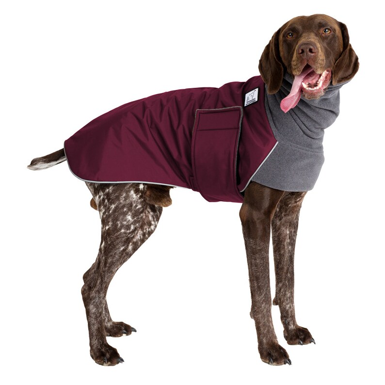 GERMAN SHORTHAIRED POINTER Winter Dog Coat Coat for Dogs Dog Etsy