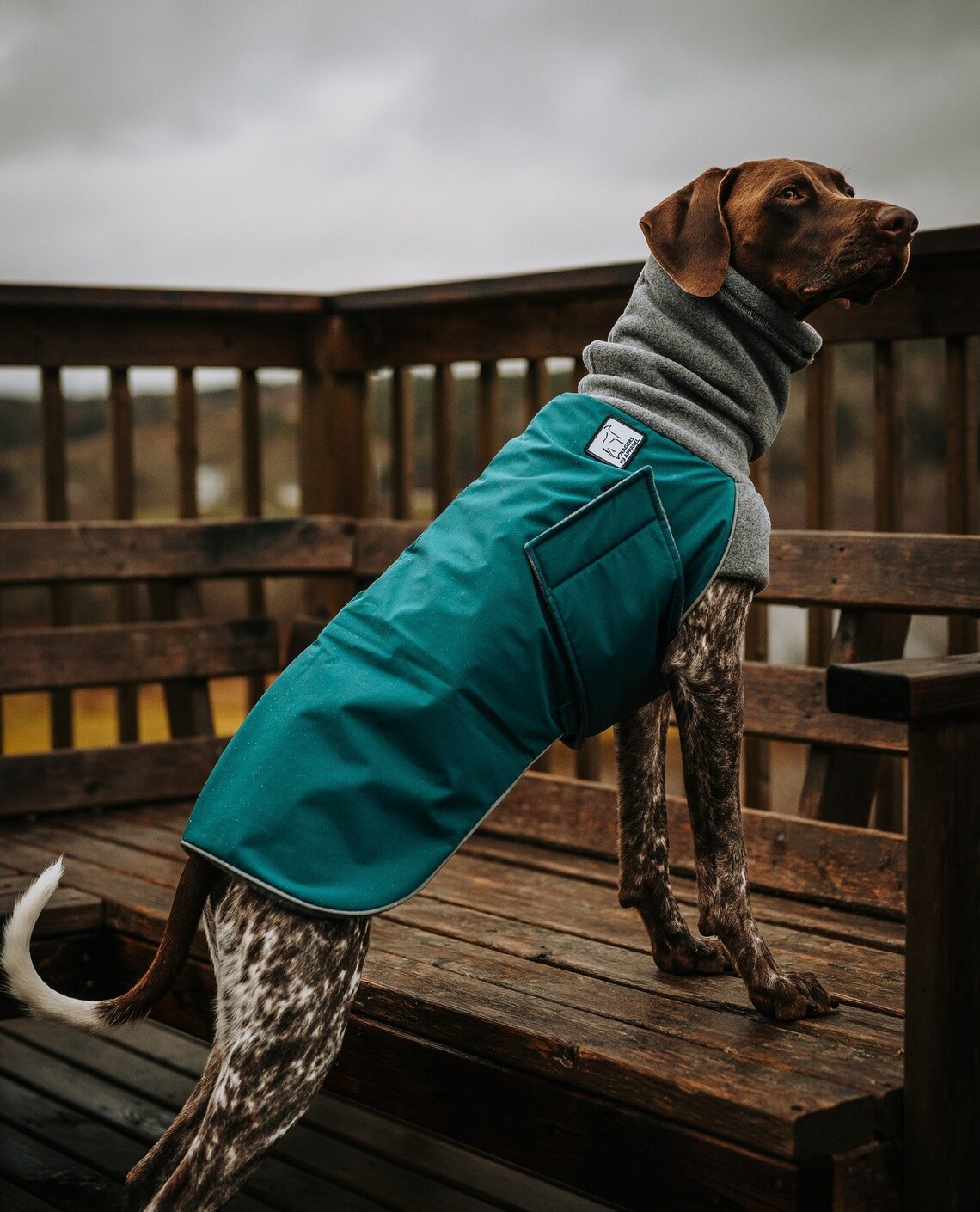 GERMAN SHORTHAIRED POINTER Winter Dog Coat Coat for Dogs Dog Etsy