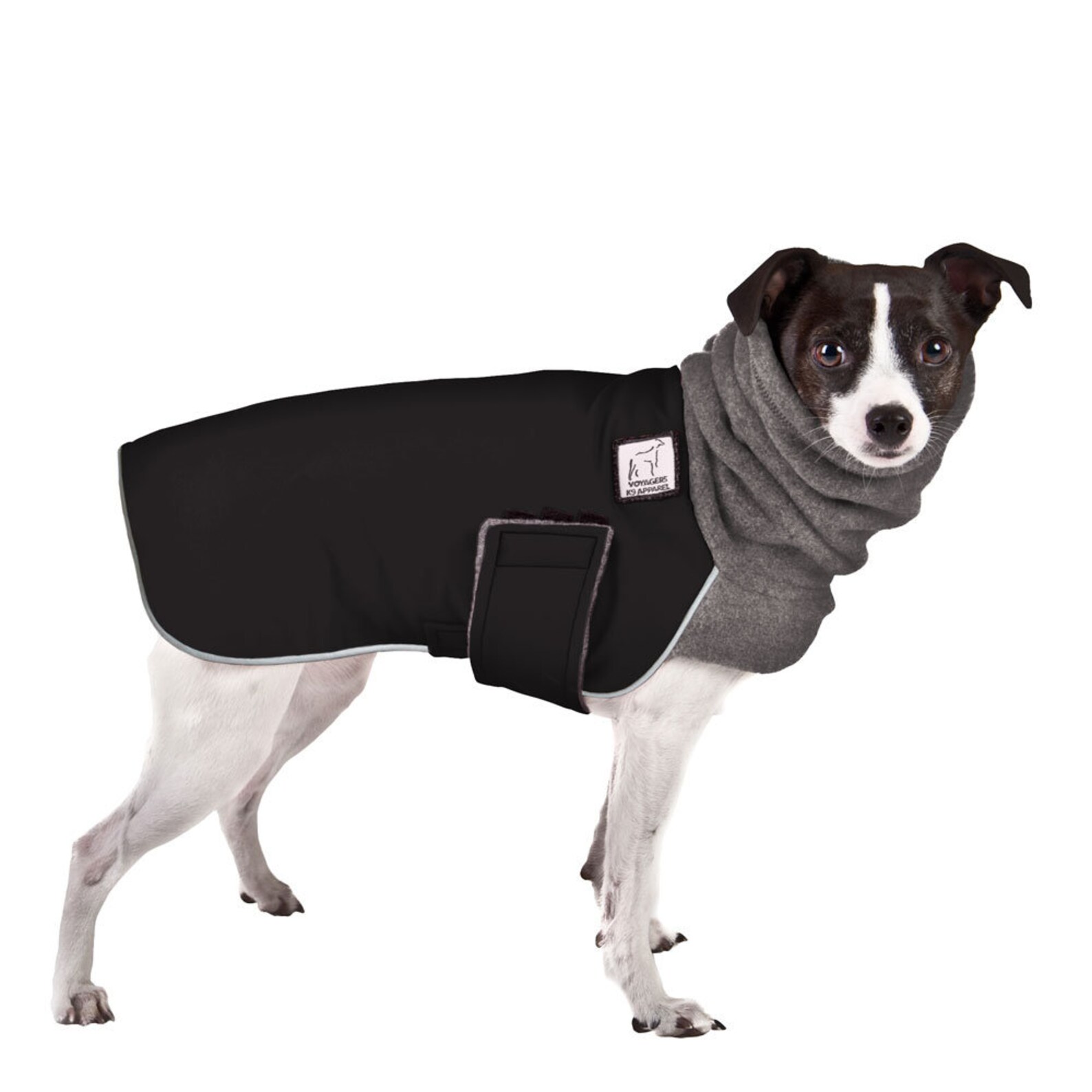 RAT TERRIER Winter Coat Waterproof Dog Coat Fleece Dog Etsy UK