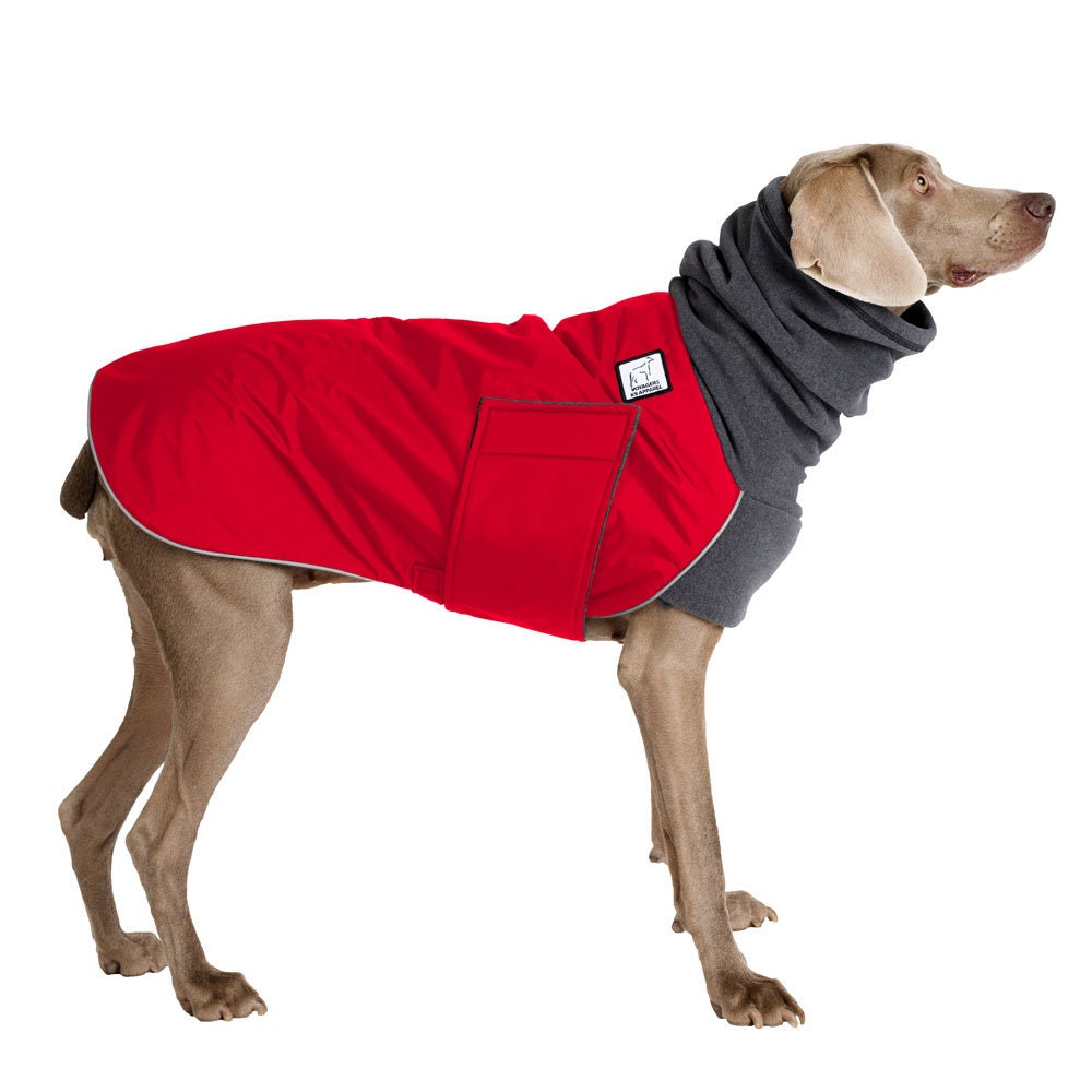 WEIMARANER Winter Dog Coat Winter Coat Winter Clothes Etsy UK