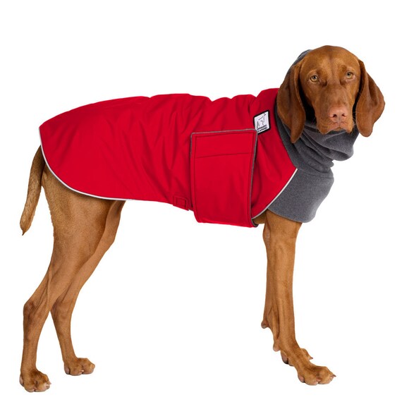 dog coats for vizslas