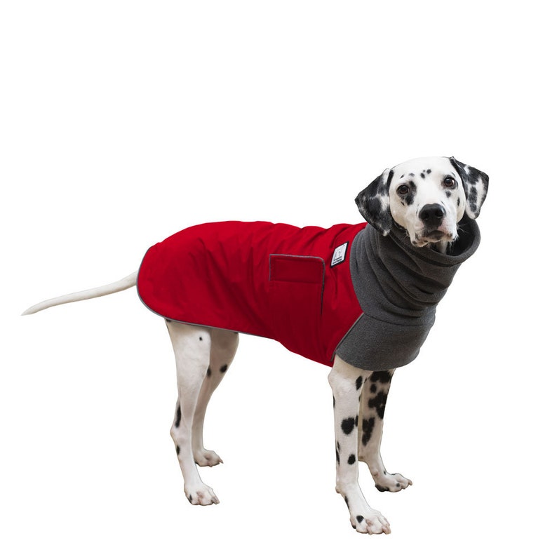 DALMATIAN Winter Dog Coat Coat for Dogs Dog Clothes Etsy