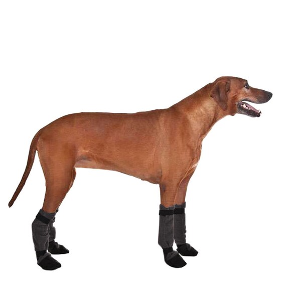 cheap dog boots for winter