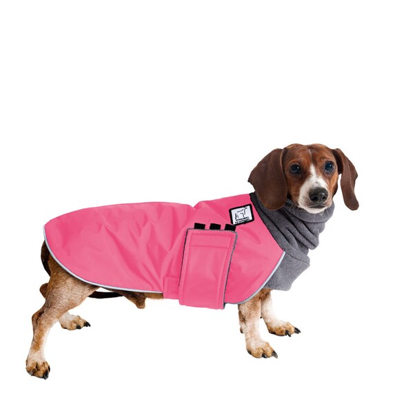 weenie dog clothes