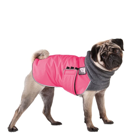 clothes for pug