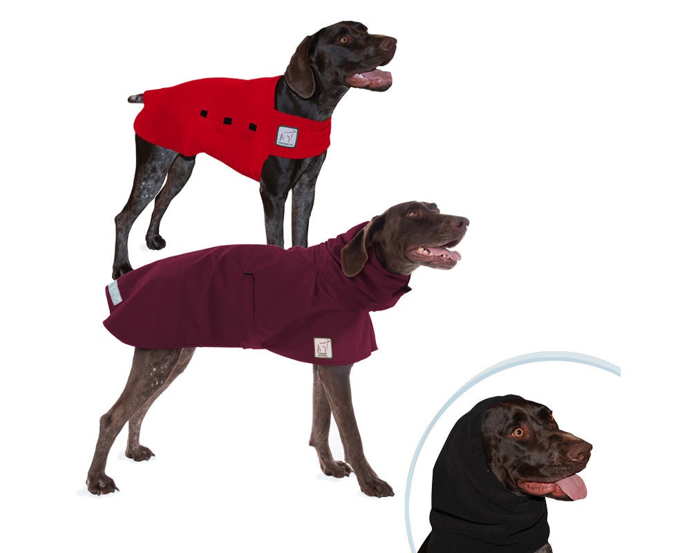 german shorthaired pointer jacket