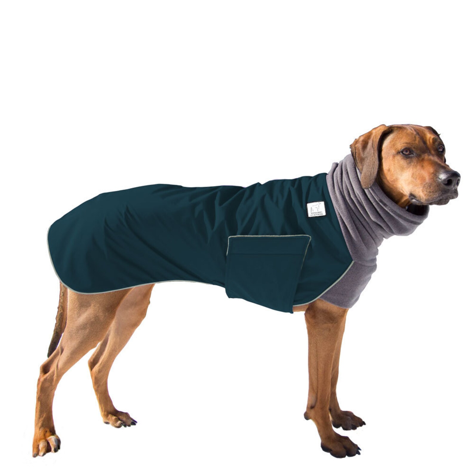 RHODESIAN RIDGEBACK Winter Dog Coat Winter Coat for Dogs Etsy