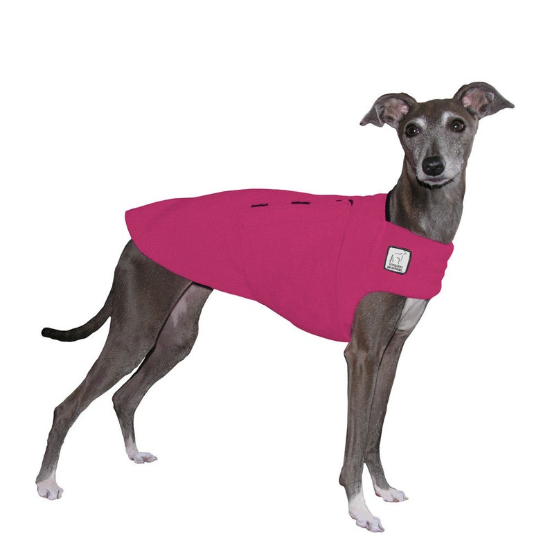 ITALIAN GREYHOUND Tummy Warmer Fleece Sweater for Dogs Etsy