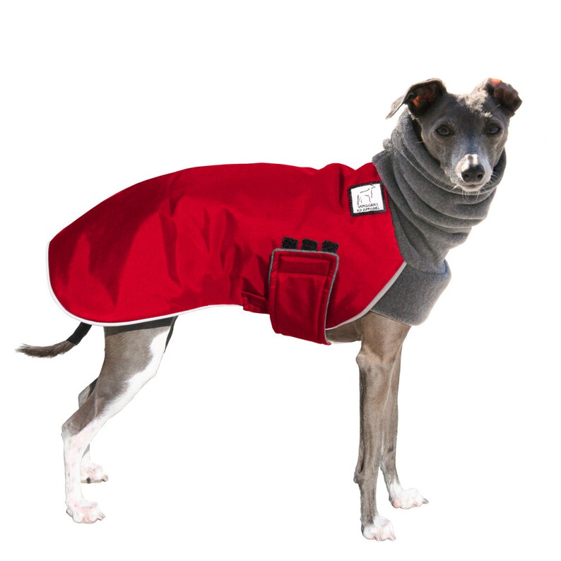 ITALIAN GREYHOUND Winter Coat Waterproof Dog Coat Jacket Etsy Nederland