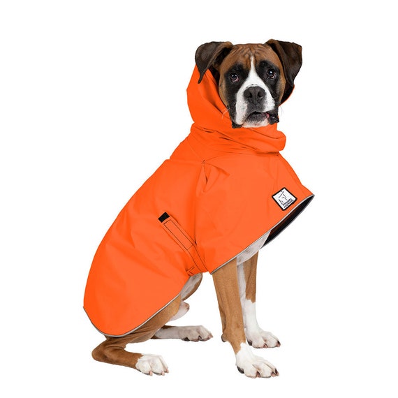 Do Boxer Dogs Need Jackets
