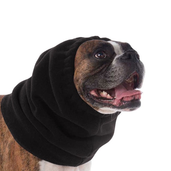 boxer dog jumper