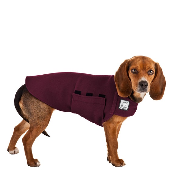 beagle jacket