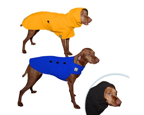 vizsla waterproof coat