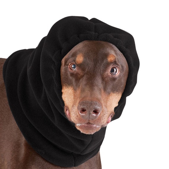 doberman hat