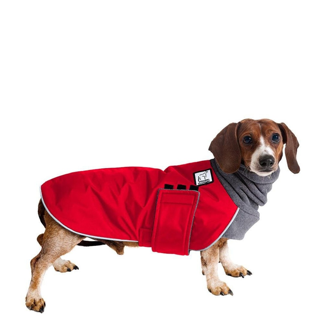 DACHSHUND Winter Dog Coat Winter Coat Waterproof Jacket - Etsy Canada