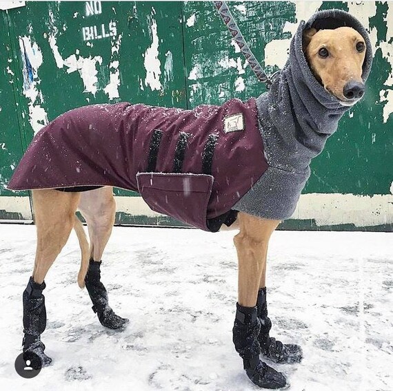 whippet boots uk