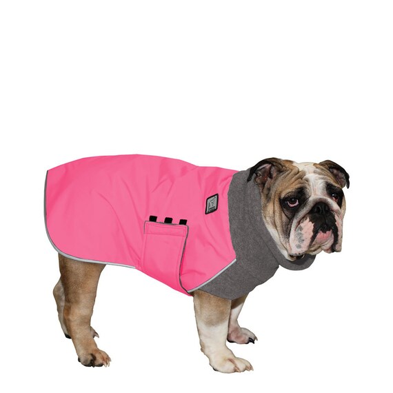 winter coats for english bulldogs