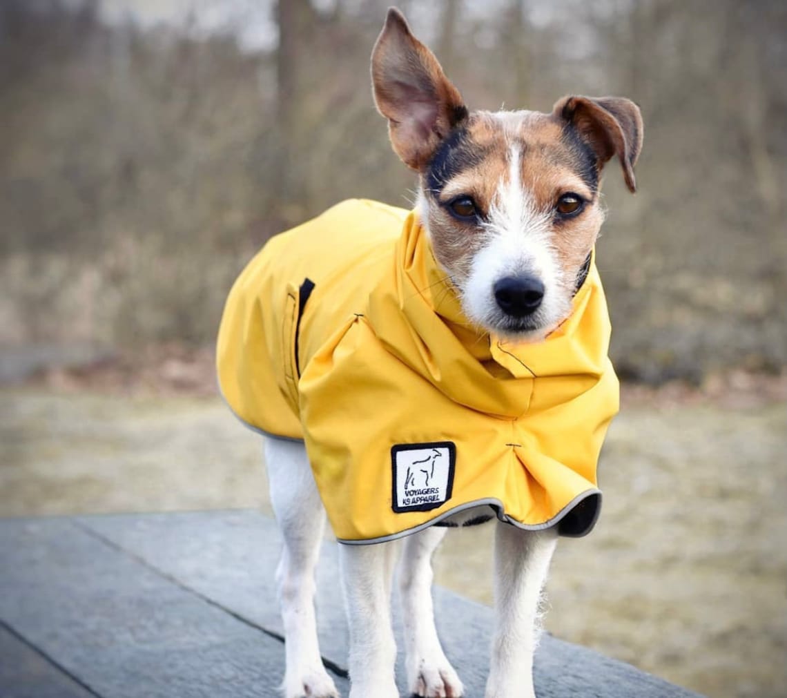 JACK RUSSELL TERRIER Rain Coat Dog Raincoat Rain Slicker Etsy
