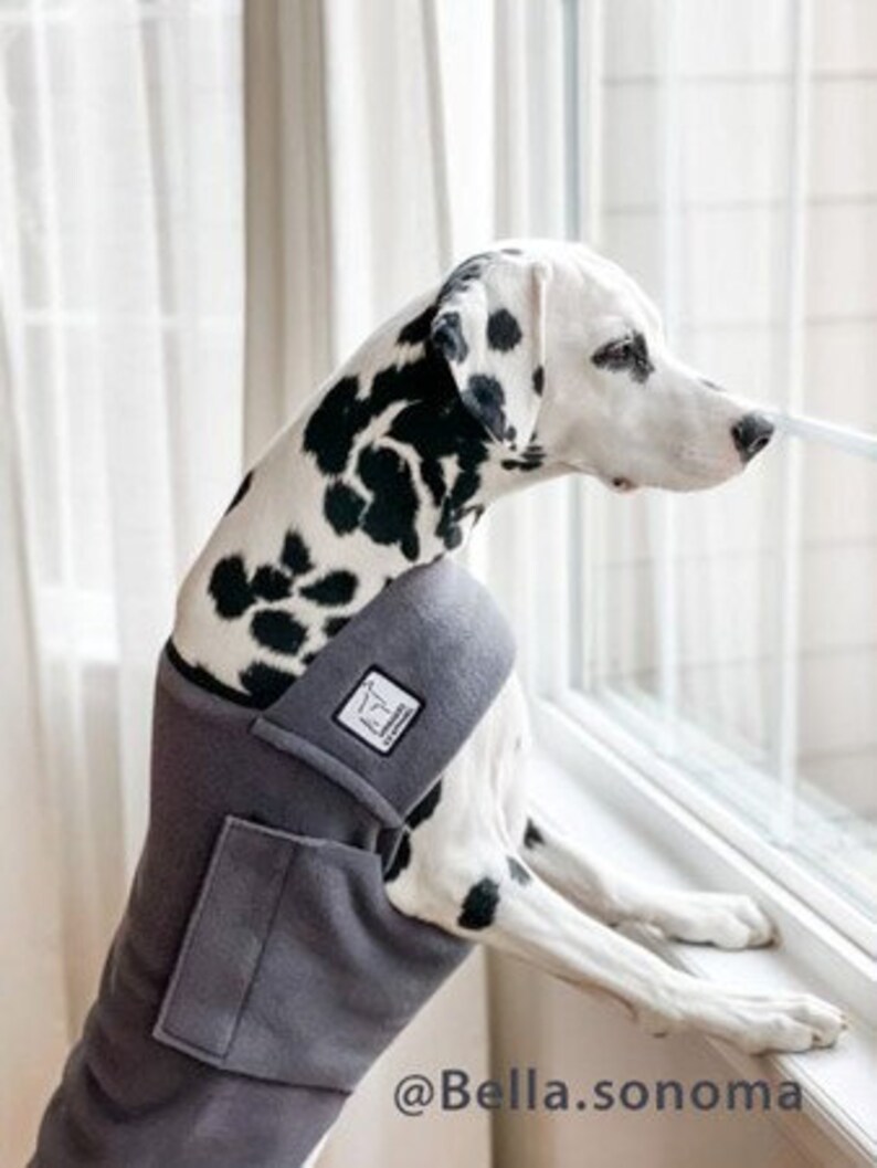 DALMATIAN Tummy Warmer Fleece Sweater for Dogs Dog Jacket Etsy