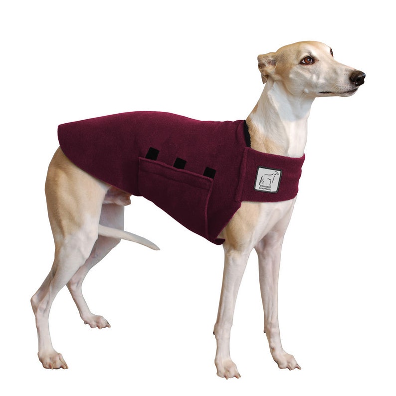 WHIPPET Tummy Warmer Fleece Fleece Dog Sweater Sweater for Etsy
