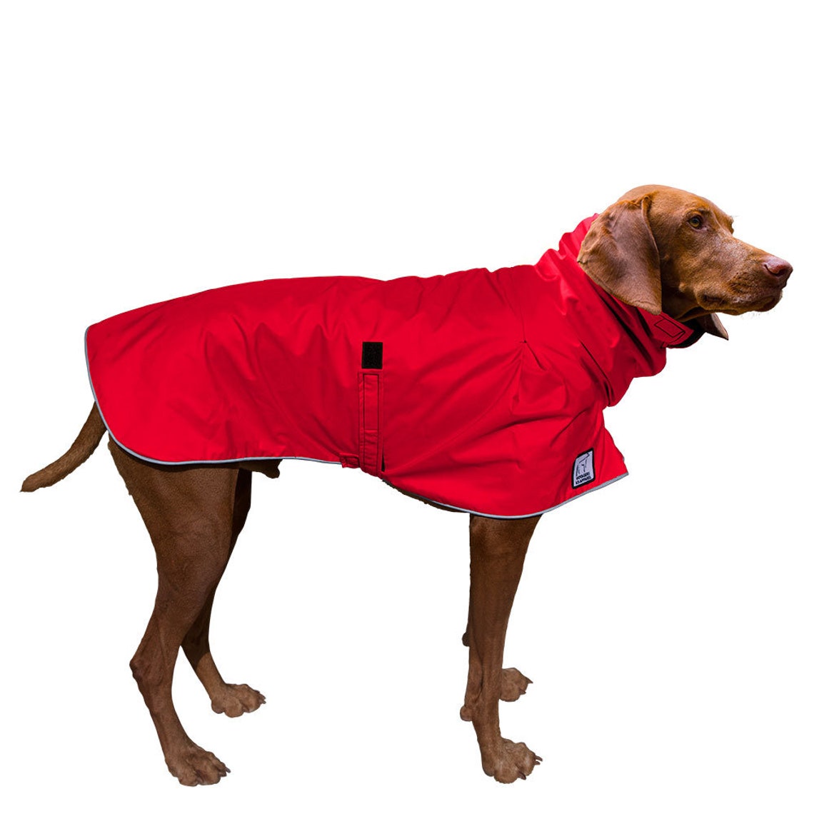 VIZSLA Dog Rain Coat Dog Raincoat Waterproof Dog Jacket Etsy