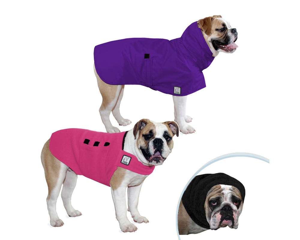 ENGLISH BULLDOG Warm Climate Combo Dog Raincoat Dog Sweater Etsy