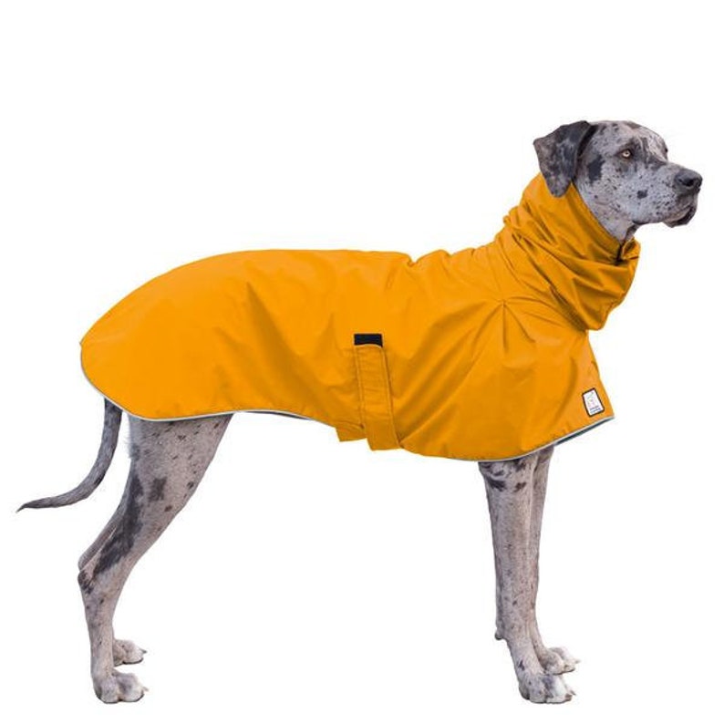 GREAT DANE Rain Coat Dog Raincoat Rain Slicker Dog Coat Etsy