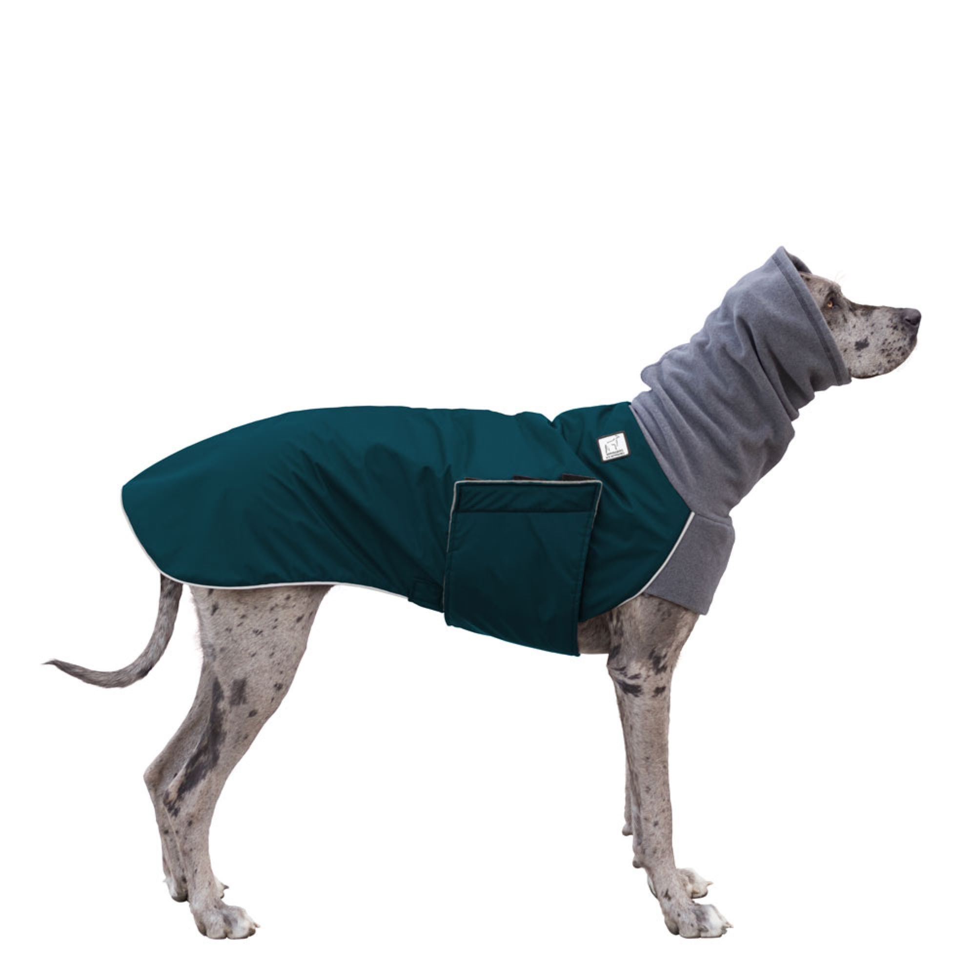 GREAT DANE Winter Dog Coat Winter Jacket Waterproof Dog - Etsy Australia