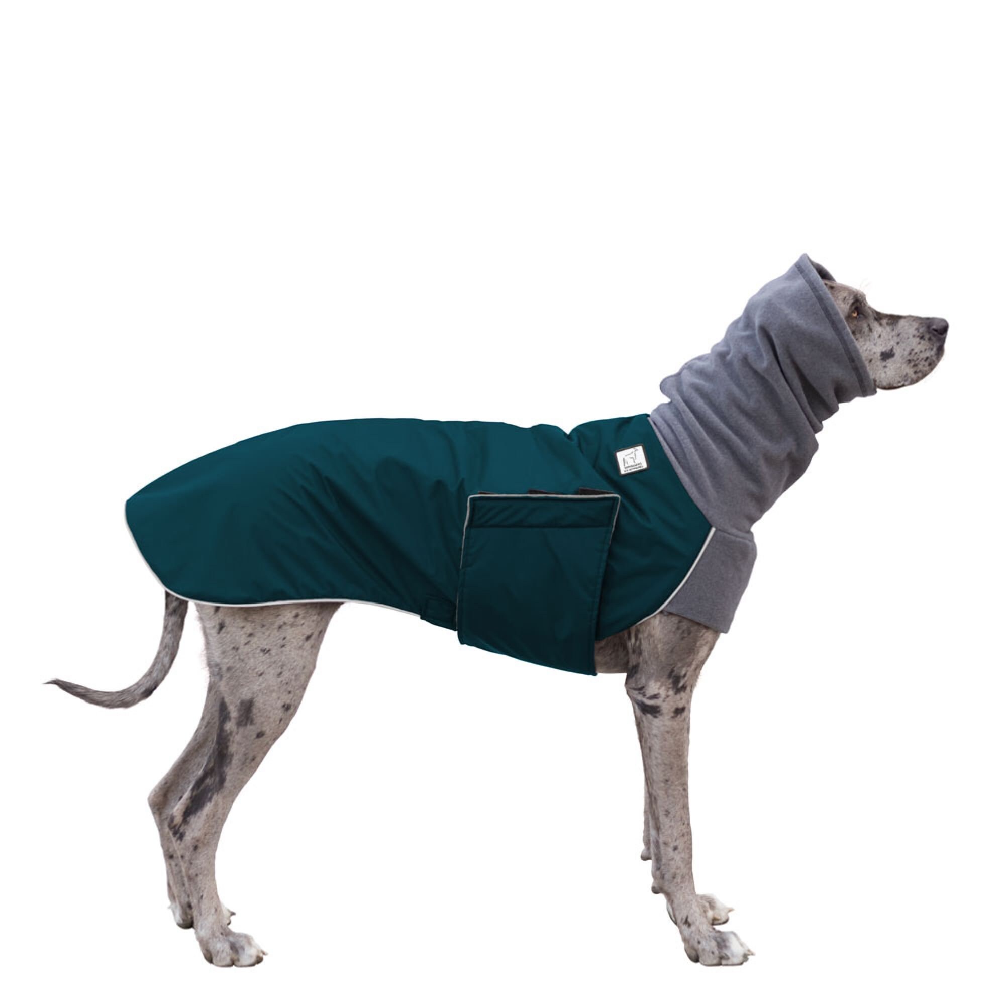 GREAT DANE Winter Dog Coat Winter Jacket Waterproof Dog Etsy Australia