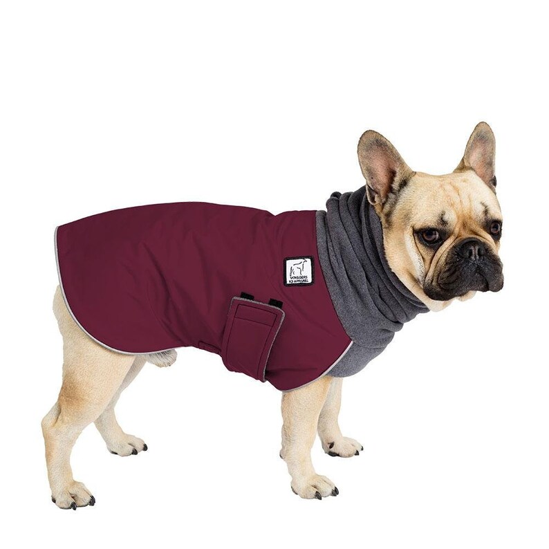 FRENCH BULLDOG Winter Coat Winter Dog Coat Waterproof Winter Etsy UK