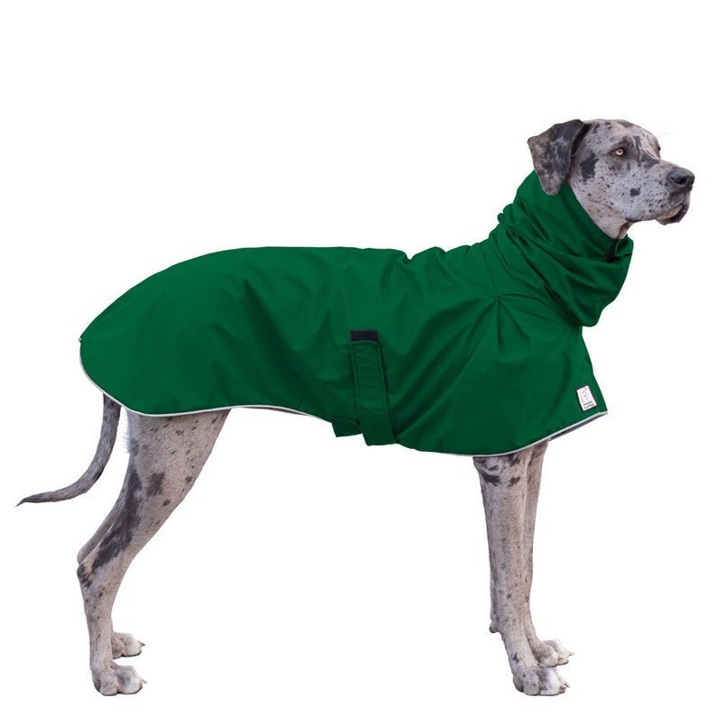 GREAT DANE Rain Coat Dog Raincoat Rain Slicker Dog Coat Etsy