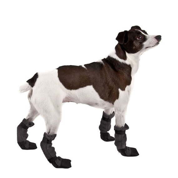 small dog snow boots