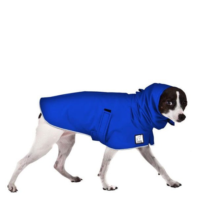 RAT TERRIER Dog Rain Coat Dog Coat Dog Raincoat Rain | Etsy
