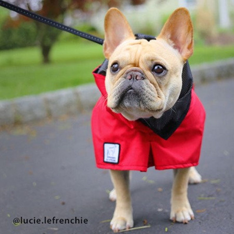 FRENCH BULLDOG Rain Coat Dog Raincoat Waterproof Dog Coat Etsy