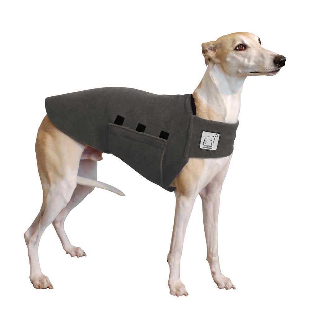 greyhound thundershirt