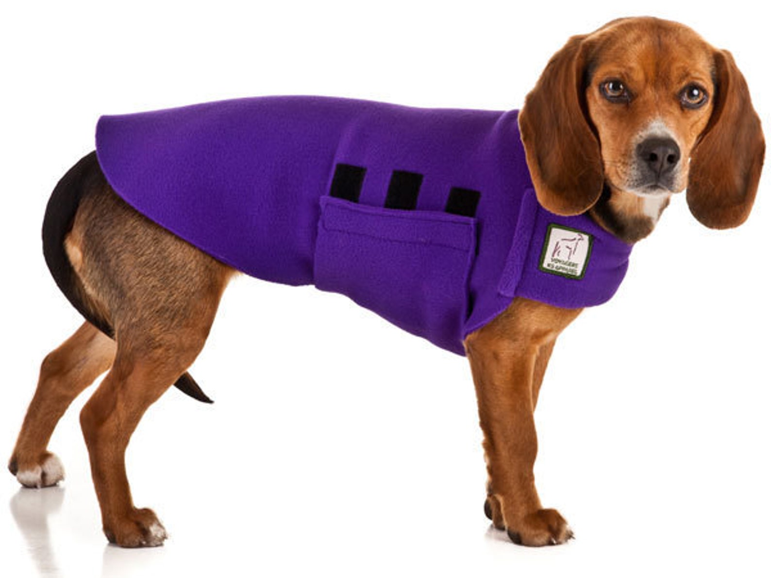 BEAGLE Tummy Warmer Fleece Dog Sweater Fleece Dog Jacket Etsy