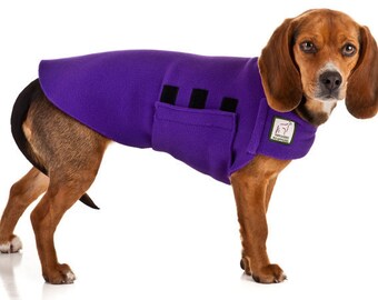 Beagle clothing and accessories Clearance