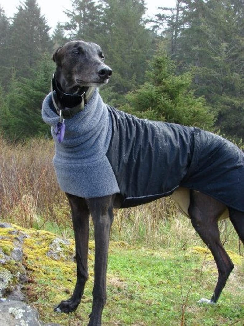 GREYHOUND Winter Dog Coat Waterproof Dog Coat Dog Winter Etsy