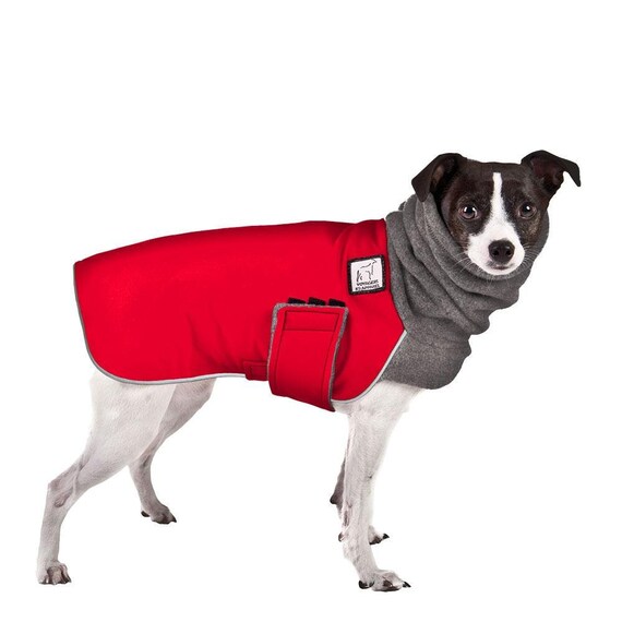 RAT TERRIER Winter Coat Waterproof Dog Coat Fleece Dog | Etsy
