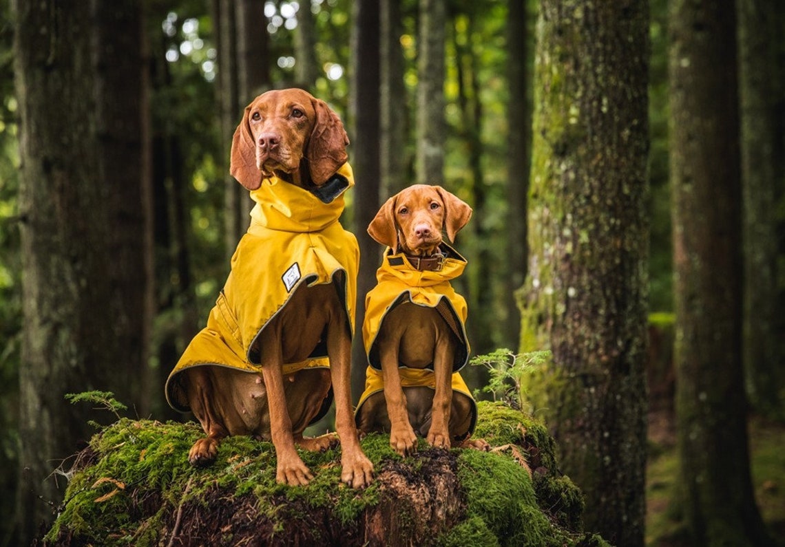 VIZSLA Dog Rain Coat Dog Raincoat Waterproof Dog Jacket Etsy