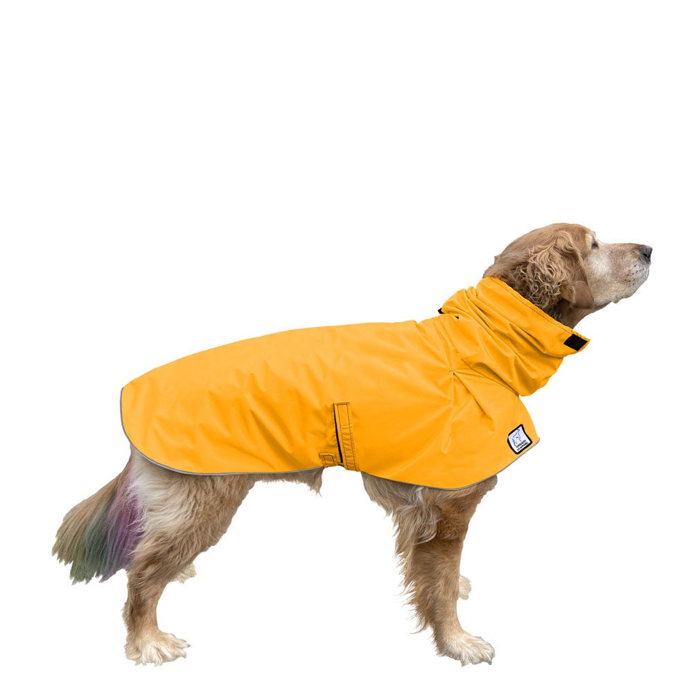 Golden Retriever Raincoat Dog Rain Coat Rain Slicker Etsy France