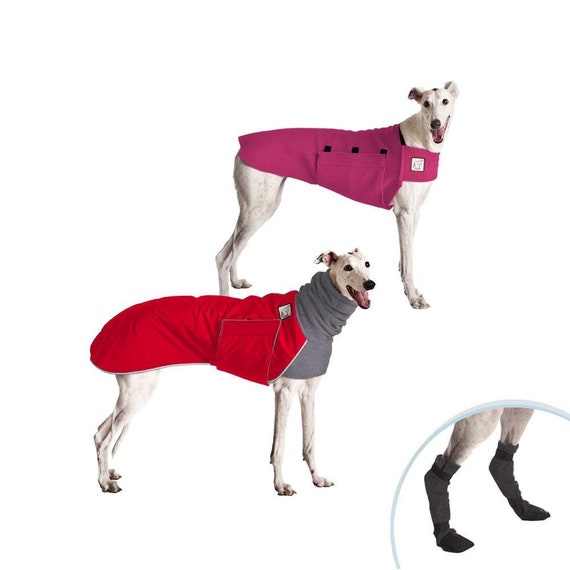 greyhound winter boots