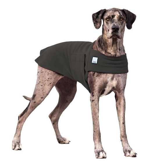 winter sweaters for great danes