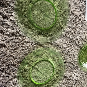 Vintage uranium glass plates