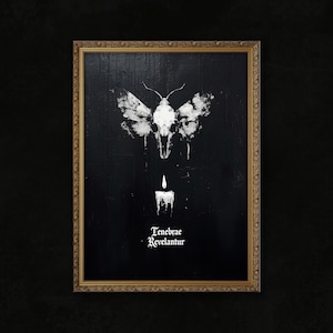 May include: A framed black and white artwork featuring a moth skull design with a candle and the text "Tenebrae Revelantur". The artwork is in a gold-colored frame.